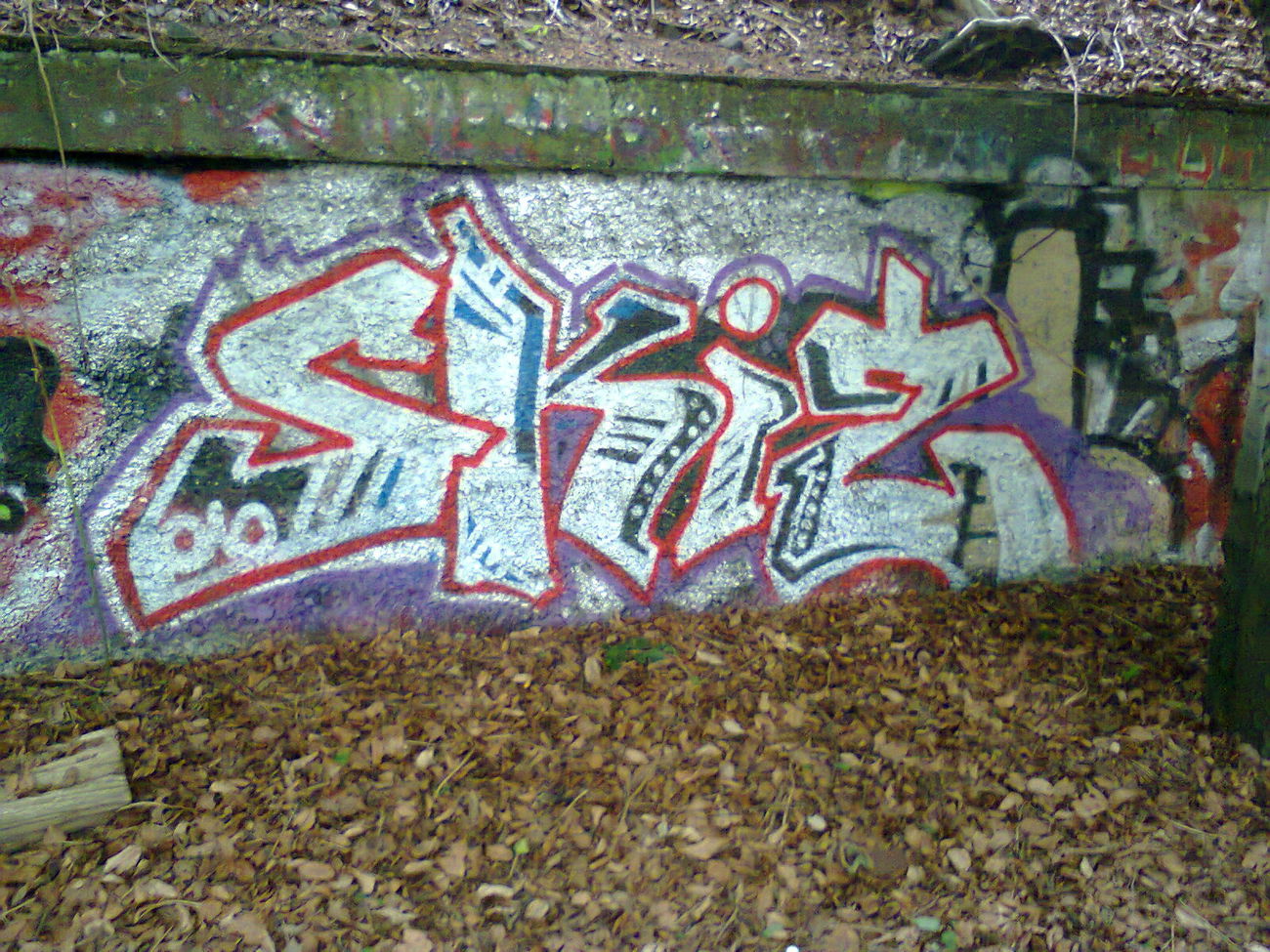 Graffiti Wall - Photo by REAKSTYLEZ34 - skiz, skizonestar, HK (2015)