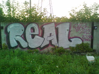 Graffiti Bombing in Horlivka - Photo by REAL - real, esb (2013)