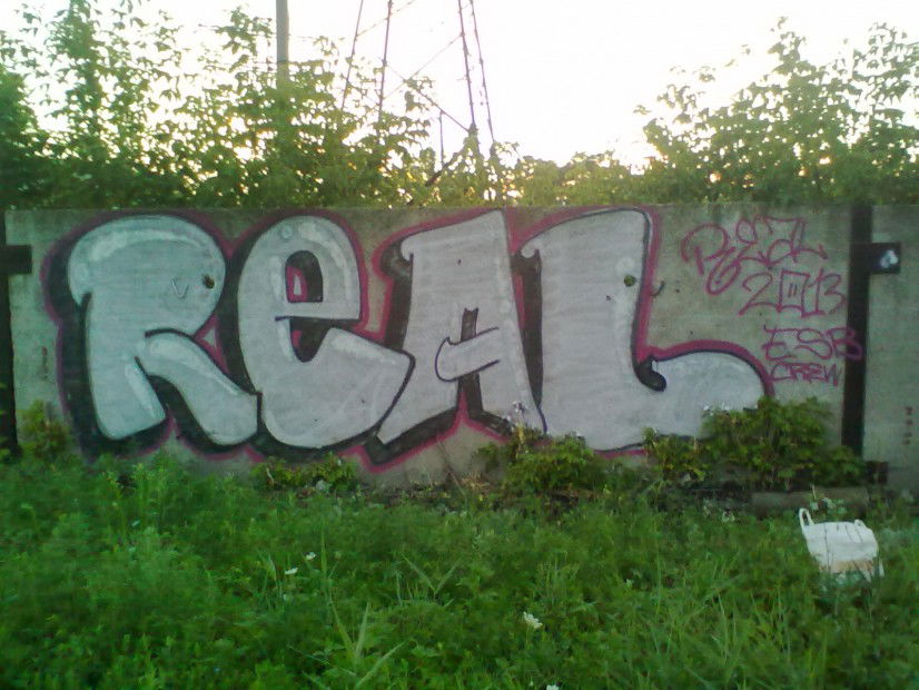 Graffiti Bombing in Horlivka - Photo by REAL - real, esb (2013)
