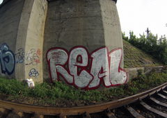 Photo #24196 by saype1