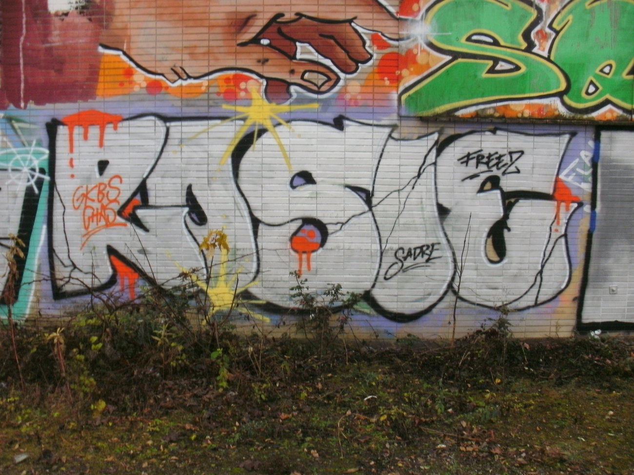 Graffiti Wall - Photo by REBEL49