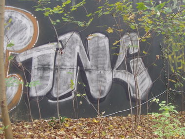Graffiti Bombing - Photo by REBEL49 - TNC