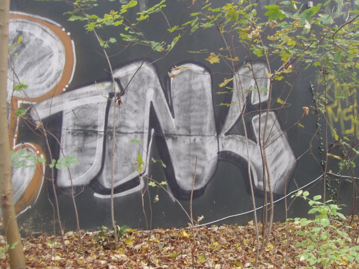 Graffiti Bombing - Photo by REBEL49 - TNC
