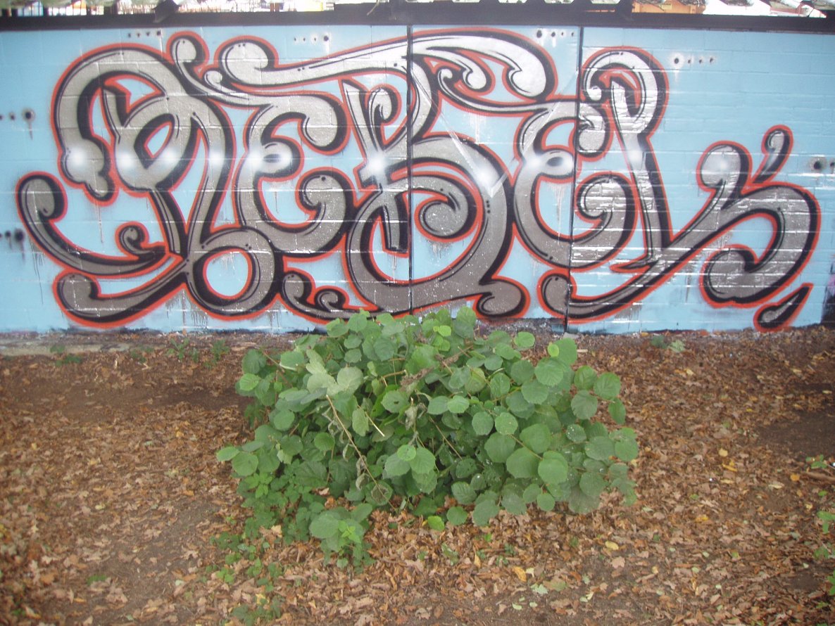 Graffiti Wall - Photo by REBEL49