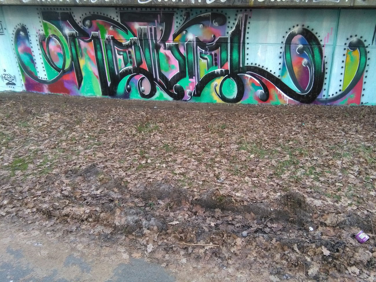 Graffiti Wall - Photo by REBEL49 - Rebel, 49, lzd