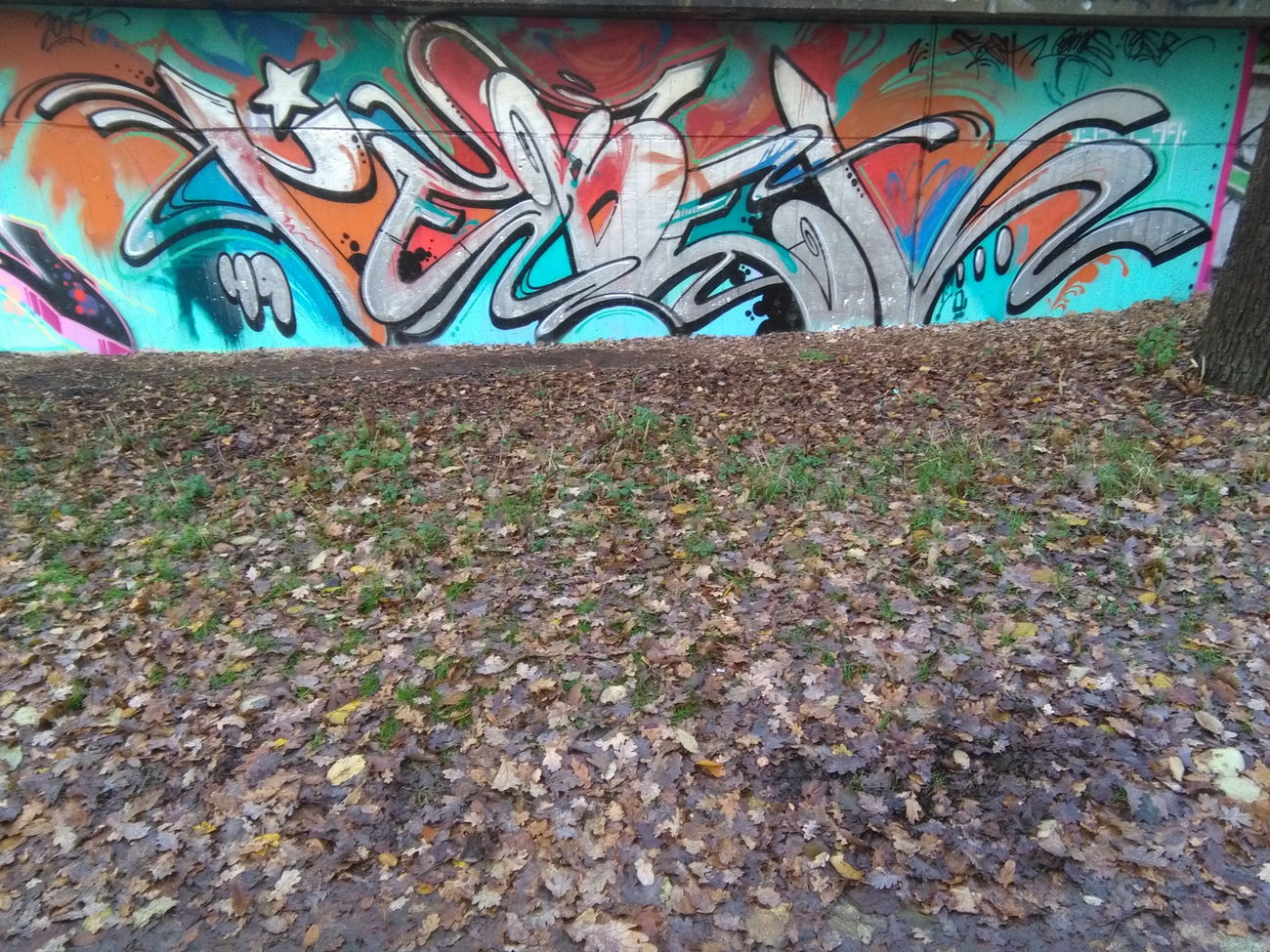 Graffiti Wall - Photo by REBEL49 - Rebel, 49, lzd