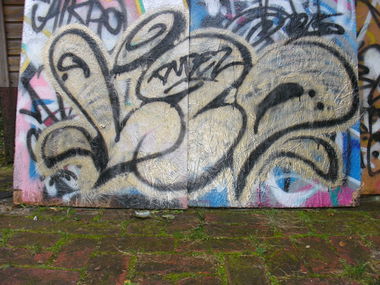 Graffiti Bombing - Photo by REBEL49 - LZD