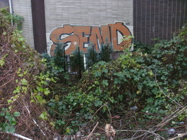 Graffiti Bombing - Photo by REBEL49