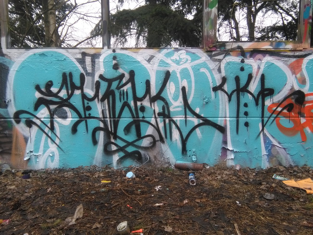 Graffiti Wall - Photo by REBEL49 - rebel, 49, lzd