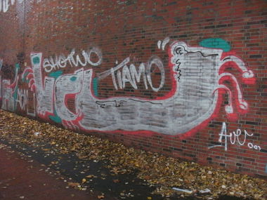 Graffiti Bombing - Photo by REBEL49