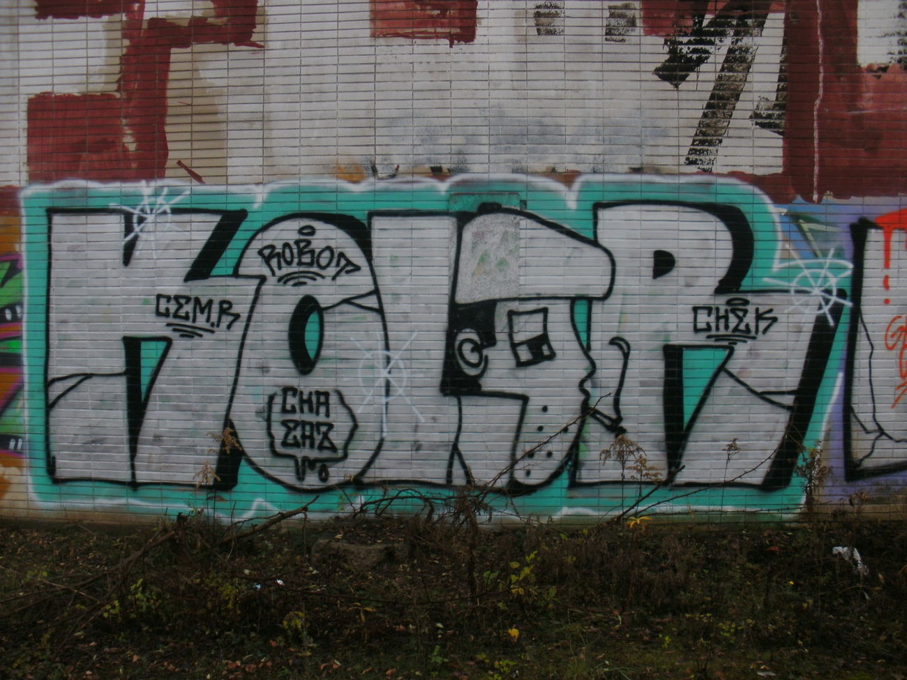 Graffiti Bombing - Photo by REBEL49