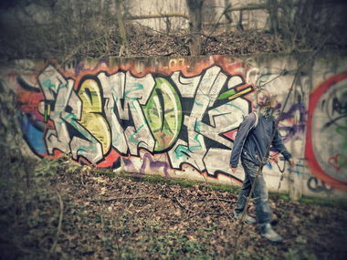 Graffiti Bombing - Photo by REMOK - SHIT, OF, THE (2014)