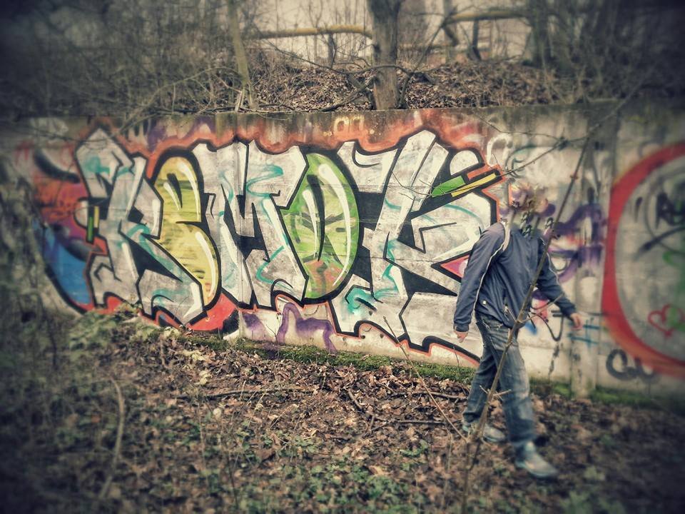 Graffiti Bombing - Photo by REMOK - SHIT, OF, THE (2014)