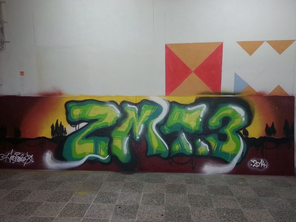 Graffiti Bombing - Photo by REMOK (2014)
