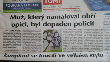 Graffiti Artwork - Photo by REMOK