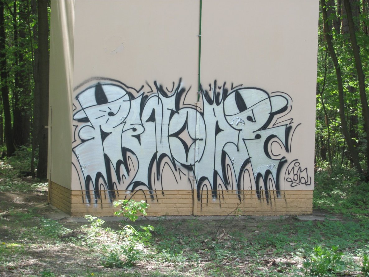 Graffiti Bombing - Photo by RENOAR