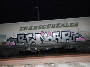 Graffiti Train - Photo by RENOAR