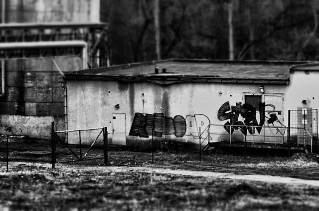 Graffiti Bombing - Photo by RENOAR - Rnoar, Steve