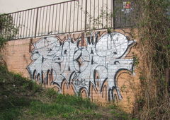 Photo #148143 by ride32