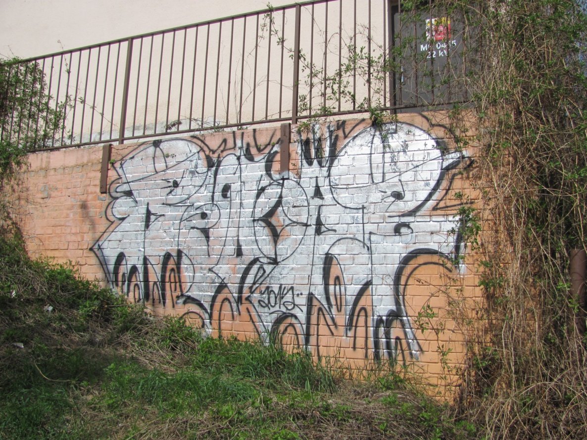 Graffiti Bombing - Photo by RENOAR