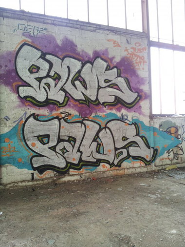 Graffiti Wall - Photo by REUSone - Paws (2012)