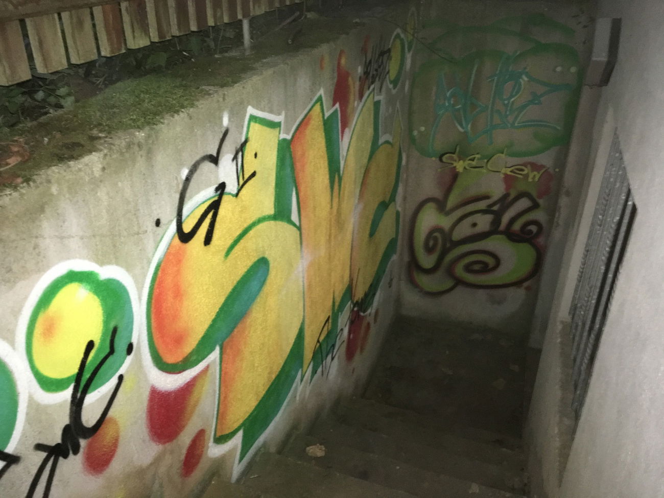Graffiti Bombing in Schweinfurt eselshöhe - Photo by RHZStyles - rollholz, RHZStyles, SWC (2016)