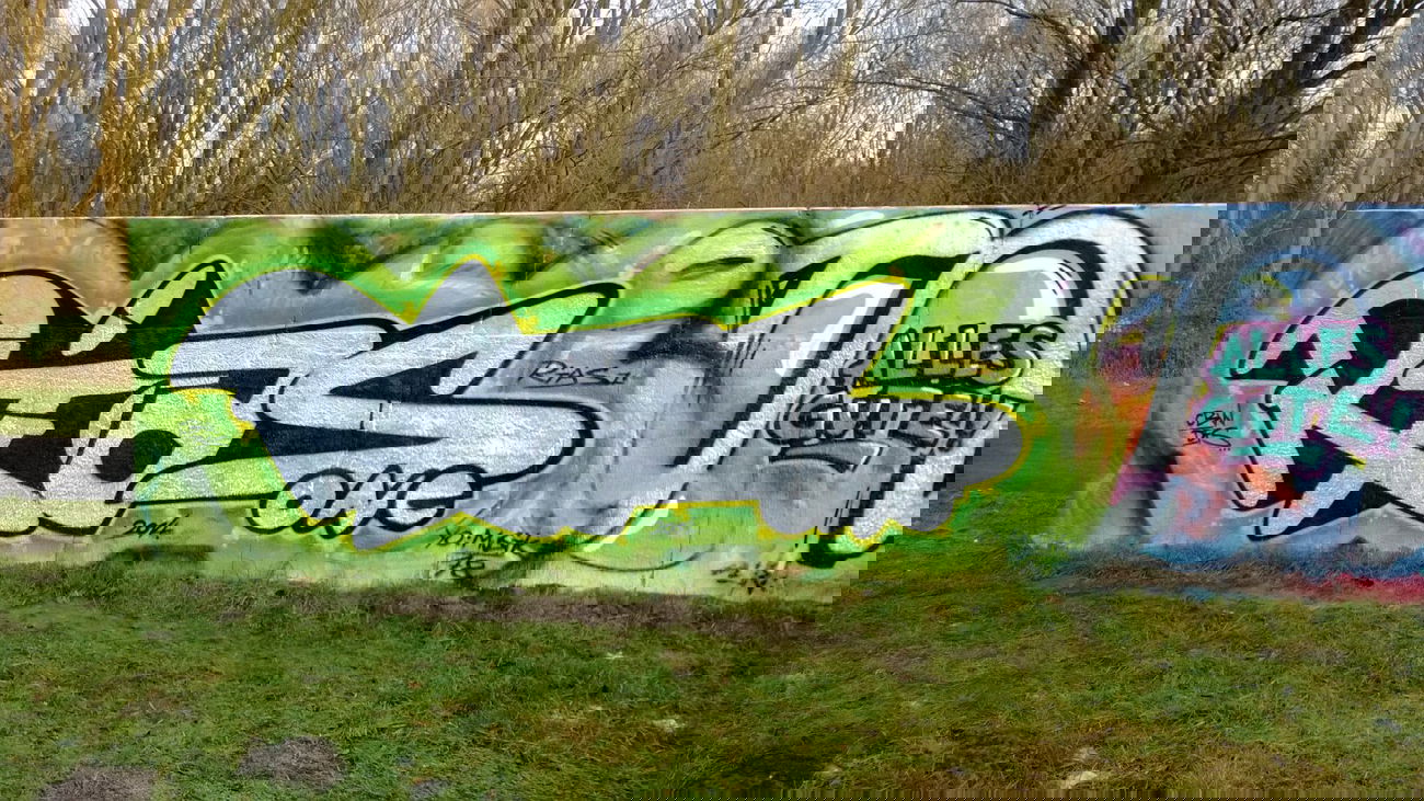 Graffiti Wall - Photo by RIAS - RIAS, DFS, CBW (2014)