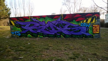 Graffiti Wall - Photo by RIAS - RIAS, DFS, CBW (2014)