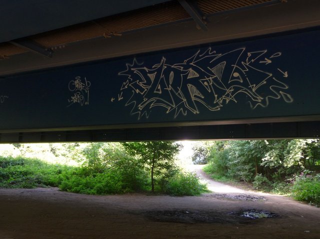 Graffiti Bombing - Photo by RINK - ZORN