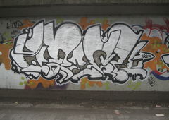 Photo #88829 by Belt