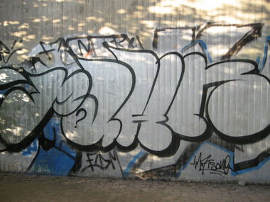 Graffiti Bombing - Photo by RINK - PAHN