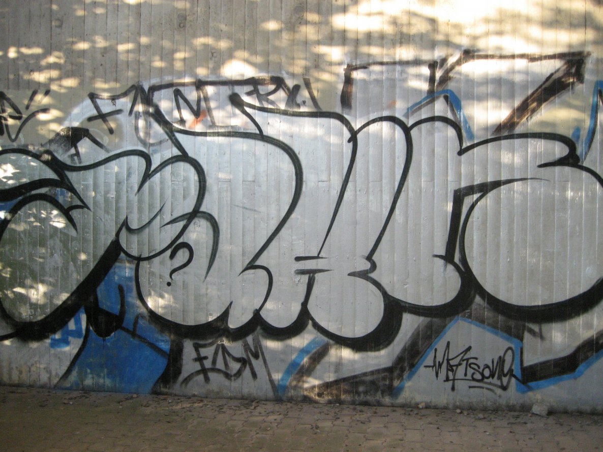 Graffiti Bombing - Photo by RINK - PAHN
