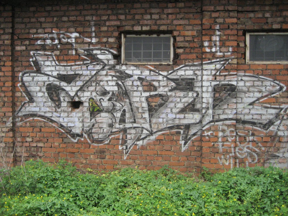 Graffiti Bombing - Photo by RINK - ZORN