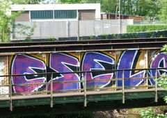 Photo #88845 by TagHagel