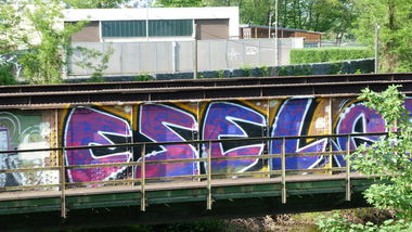 Graffiti Bombing - Photo by RINK - ESEL