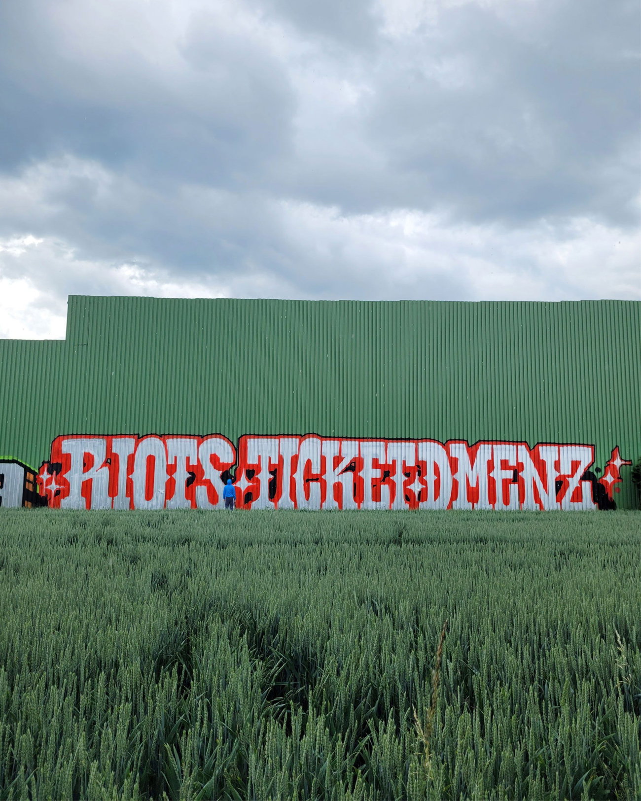 Graffiti Bombing - Photo by RIOTS - riots, ticket, dmenz