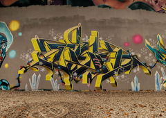 Graffiti Wall - Photo by RISEK (2025)