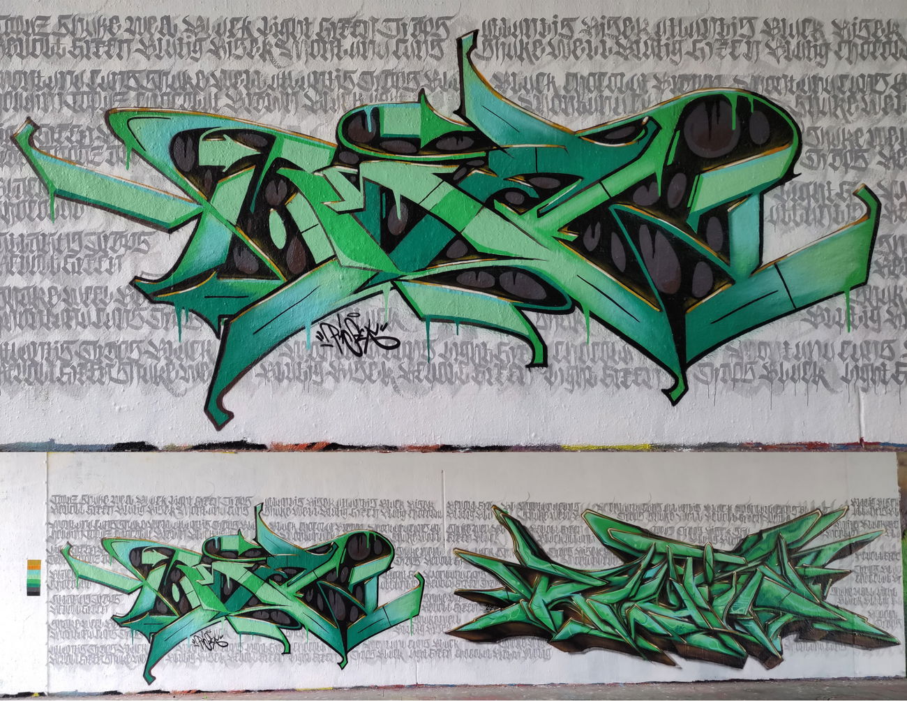 Graffiti Wall - Photo by RISEK - risek, blutig, essen (2022)