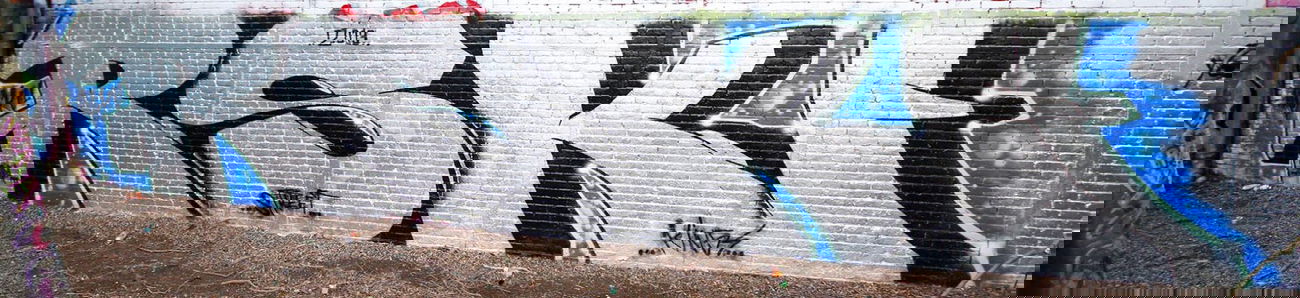 Graffiti Bombing - Photo by RISKOone - real, street, kingz (2013)