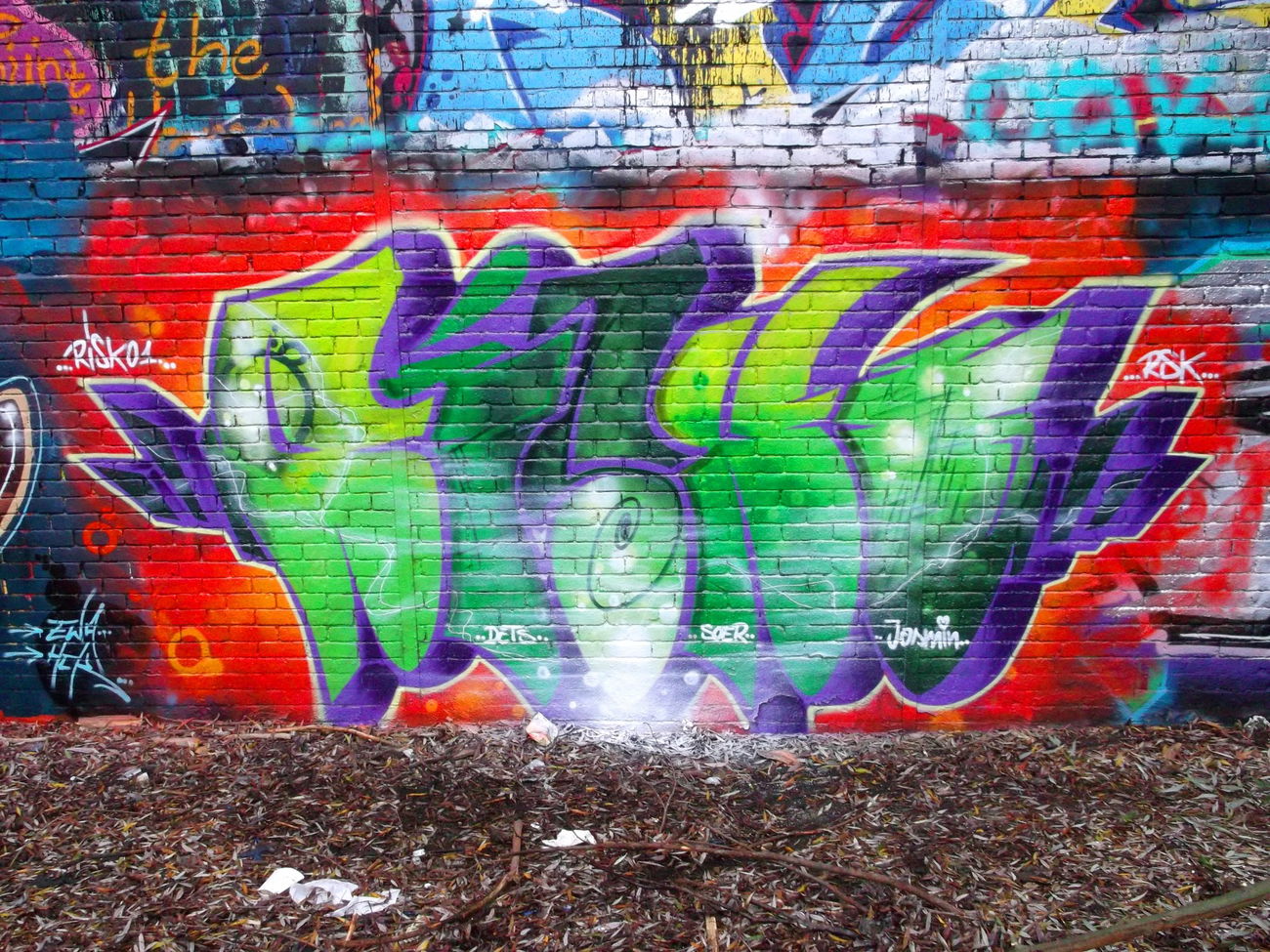Graffiti Wall - Photo by RISKOone - risko, rsk, throwup (2016)