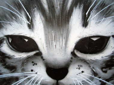 Graffiti Wall - Photo by RNDM_YveS - Angry, Kitty (2013)