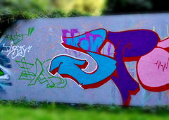 Photo #182749 by Anis