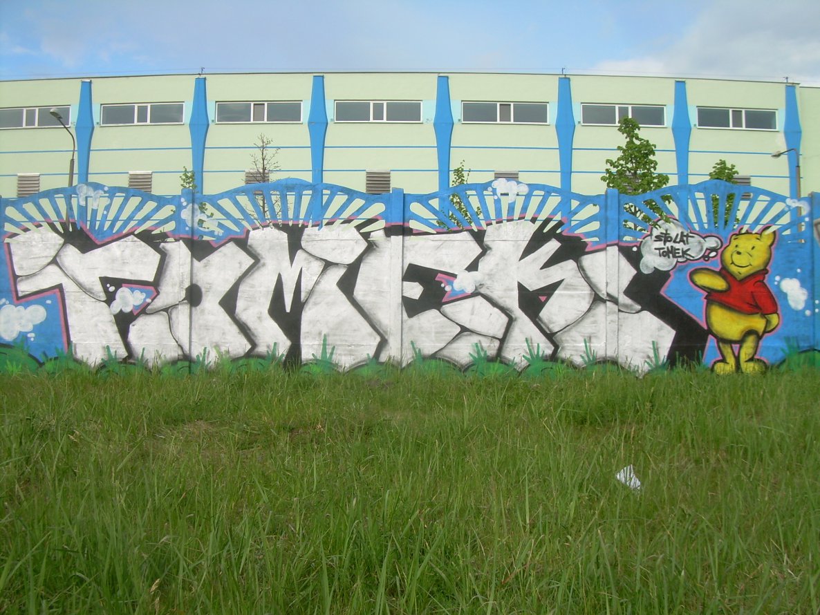 Graffiti Bombing in Grudziadz - Photo by RODMEN - WSZYSTKIEGO, NAJLEPSZEGO, SYNKU (2014)