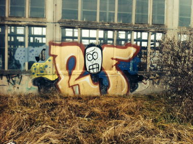 Graffiti Bombing - Photo by ROF - ROF (2013)