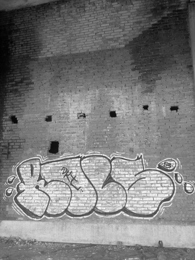 Graffiti Bombing in Elektrougli - Photo by ROLS (2013)