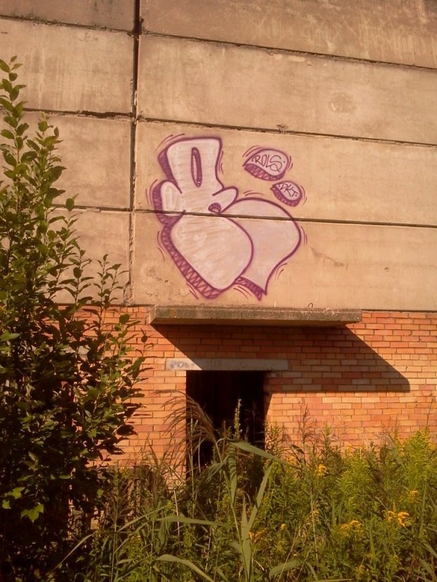 Graffiti Wall in Elektrougli - Photo by ROLS (2013)