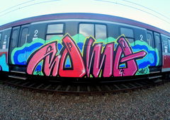 Graffiti Train - Photo by ROMANS (2015)