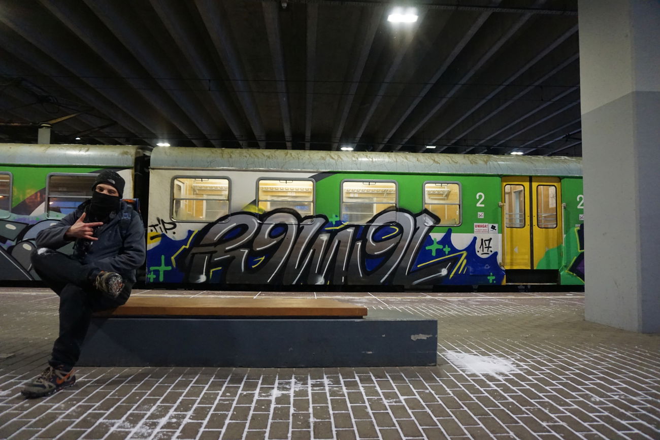 Graffiti Train - Photo by ROMANS - roma, tip, @trainfan84 (2017)