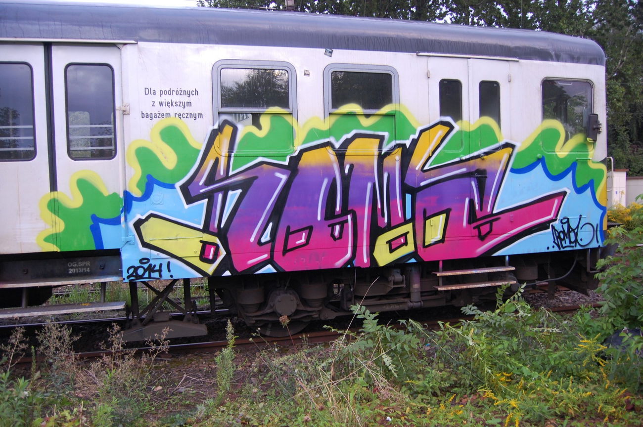 Graffiti Train - Photo by ROMANS - roma, tip, en57 (2014)