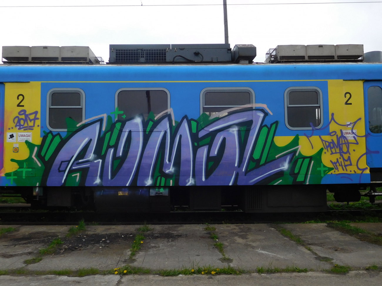 Graffiti Train - Photo by ROMANS (2017)
